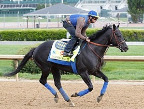 Govenor Charlie - Horse Profile - BloodHorse