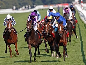 Encke - Horse Profile - BloodHorse