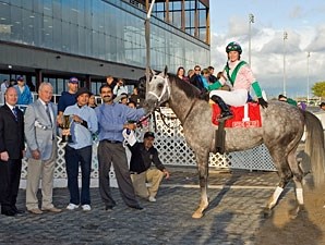 Redding Colliery - Horse Profile - BloodHorse