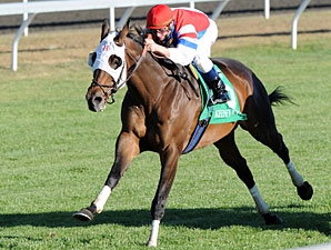 Thoroughbred race cheap horse hats