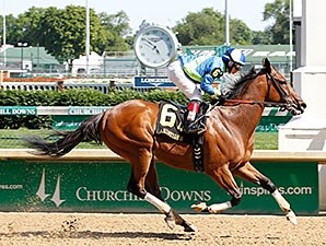 Delaunay - Horse Profile - BloodHorse