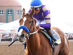 Princess Arabella - Horse Profile - BloodHorse