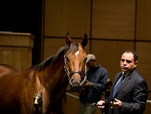 Awesome Feather - Horse Profile - BloodHorse