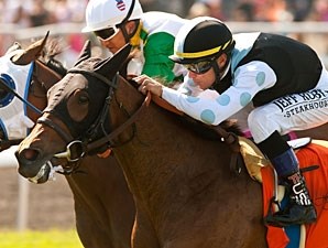 Charlie Em (GB) - Horse Profile - BloodHorse