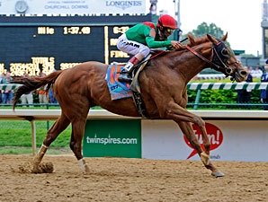 Animal Kingdom Cleared for Exercise - BloodHorse