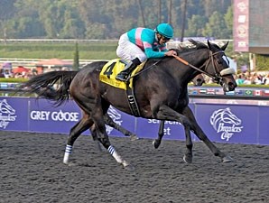 Image result for zenyatta horse