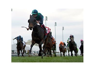 Sarah Lynam Racing Filly Sarah Lynx Wins Canadian International - BloodHorse