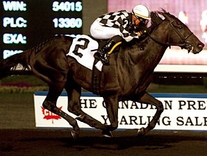 Good Better Best - Horse Profile - BloodHorse