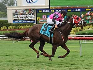 Proud Azteca - Horse Profile - BloodHorse