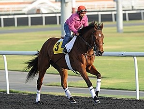 Little Mike - Horse Profile - BloodHorse