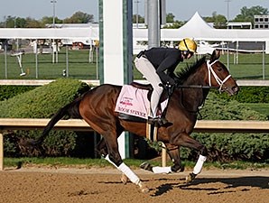 Room Service - Horse Profile - BloodHorse