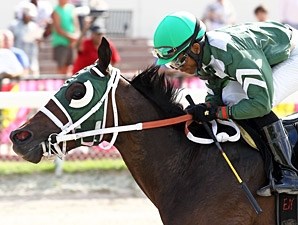 Scandalous Act - Horse Profile - BloodHorse