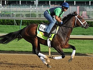 Overanalyze - Horse Profile - BloodHorse