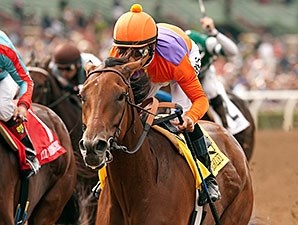 Beholder - Horse Profile - BloodHorse