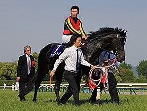 Fenomeno - Horse Profile - BloodHorse