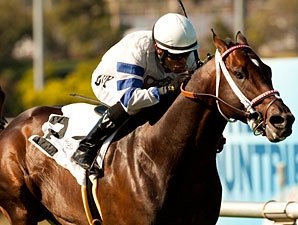 Wilkinson Colics, Will Miss Shoemaker Mile - BloodHorse