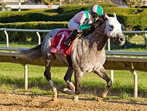 Redding Colliery - Horse Profile - BloodHorse