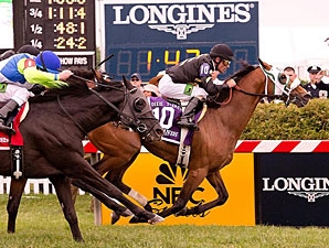 Skyring - Horse Profile - BloodHorse