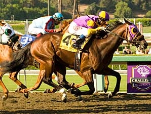 Street Hero - Horse Profile - BloodHorse