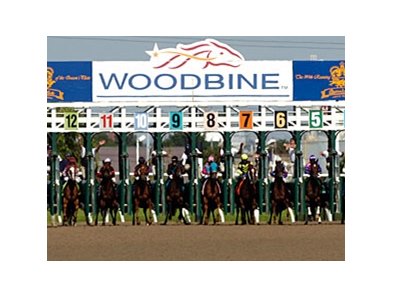 Woodbine Honored As Entertainment Complex Bloodhorse