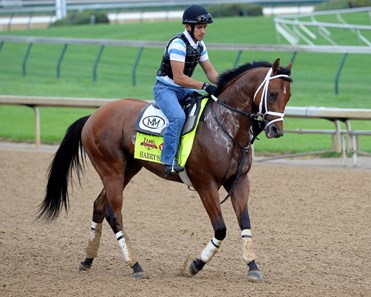 Harry's Holiday - Horse Profile - BloodHorse