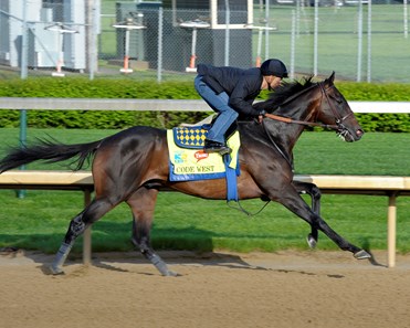 Code West - Horse Profile - BloodHorse