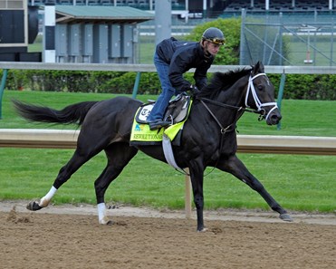 Revolutionary - Horse Profile - BloodHorse