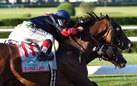 Tonalist - Horse Profile - Bloodhorse