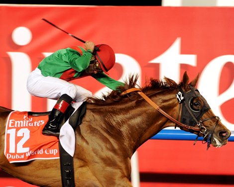 Dubai World Cup Day 2013 - Slideshow - BloodHorse Dubai World Cup Day 2013 - Slideshow - BloodHorse