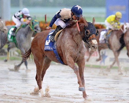 Racing at Gulfstream Park