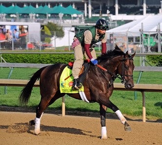 Itsmyluckyday - Horse Profile - BloodHorse