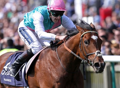 Frankel (GB) - Horse Profile - BloodHorse