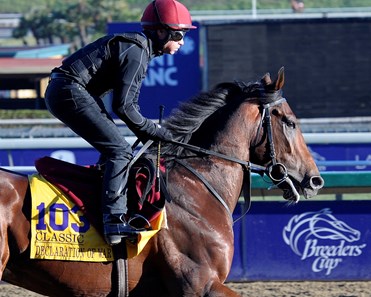 Lo Duca: My Card for The 2018 Breeders' Cup