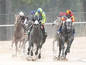 Race Day - Horse Profile - BloodHorse