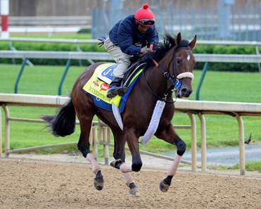 Wicked Strong - Horse Profile - BloodHorse