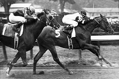 Affirmed - Horse Profile - BloodHorse