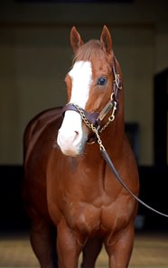 Will Take Charge