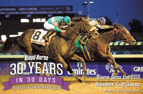 30 Years In 30 Days Blame Beats Zenyatta Bloodhorse