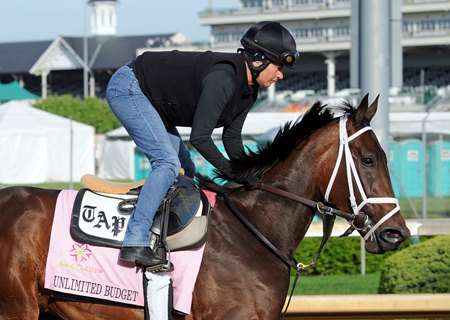 Unlimited Budget trains in 2013 at Churchill Downs