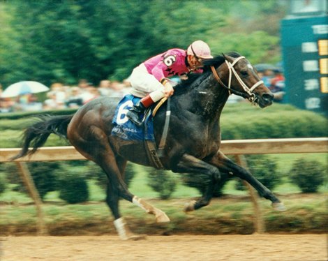 Rockamundo, Upset Arkansas Derby, Dies - Bloodhorse