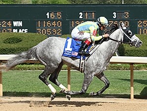 Race Day - Horse Profile - BloodHorse