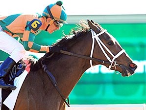 Lovely Maria - Horse Profile - BloodHorse
