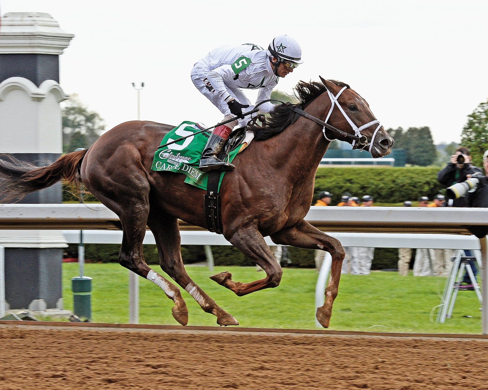 Carpe Diem - Horse Profile - BloodHorse