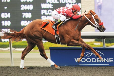 Town Prize wins the 2012 Woodstock Stakes in near-track record time at Woodbine