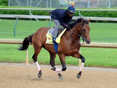 Candy Boy - Horse Profile - BloodHorse