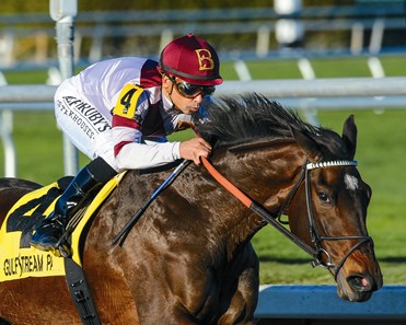 Royal Delta - Horse Profile - BloodHorse