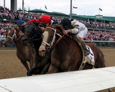 Will Take Charge - Horse Profile - BloodHorse