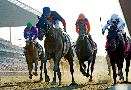 Tonalist - Horse Profile - BloodHorse