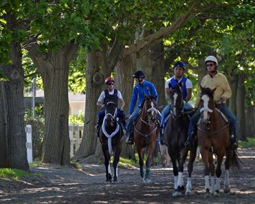 Ride on Curlin trainer likes chances in Belmont Stake's long stretch – New  York Daily News