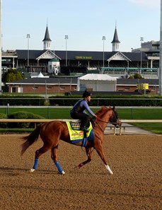 Chitu - Horse Profile - BloodHorse